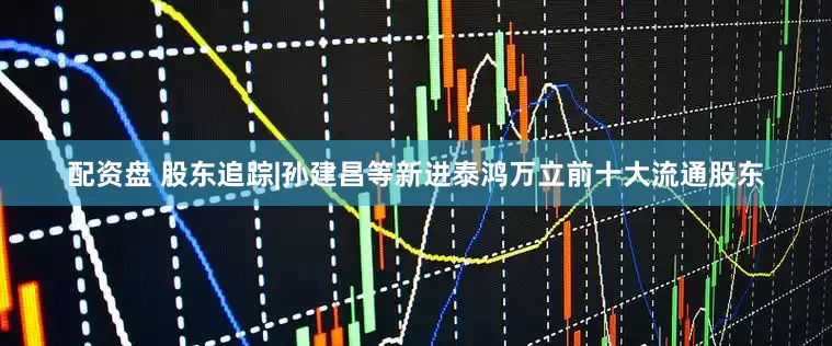 配资盘 股东追踪|孙建昌等新进泰鸿万立前十大流通股东
