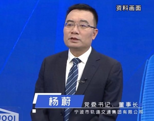 亨利投资 杨蔚, 纪法防线失守, 指使他人伪造证据